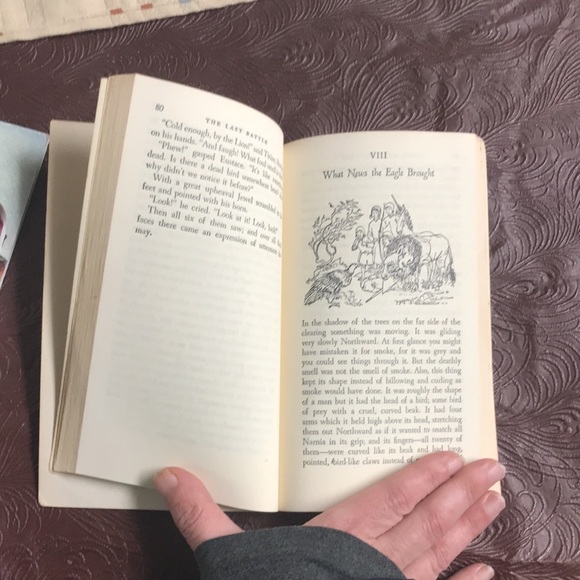 CS Lewis the last battle - Picture 7 of 11